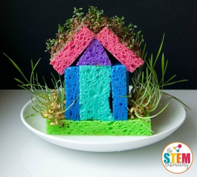 Casa modelo hecha de esponjas de colores con brotes en crecimiento (ciencias de segundo grado)
