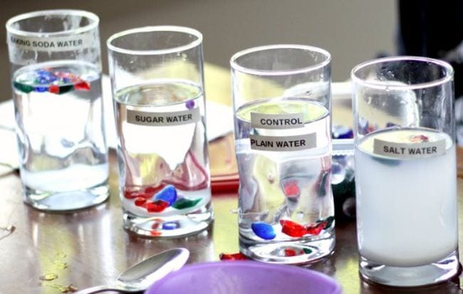 Vasos de líquido marcados con bicarbonato de sodio, agua azucarada, agua corriente controlada y agua salada