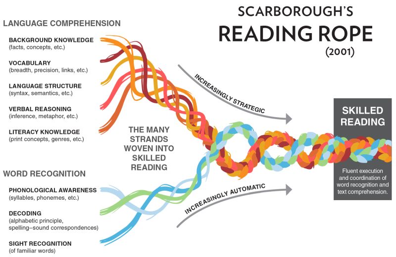 El diagrama de cuerdas de Scarborough, un modelo para explicar la competencia en alfabetización