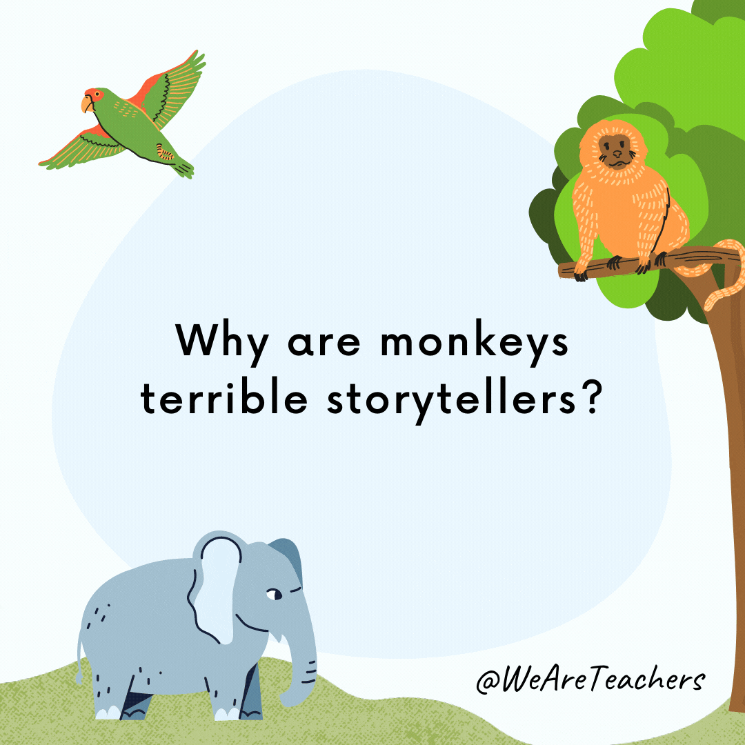 ¿Por qué los monos son terribles narradores de historias? Porque solo tienen una cola.