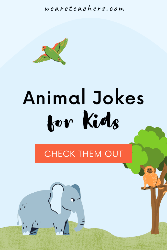 25 chistes divertidos de animales para niños