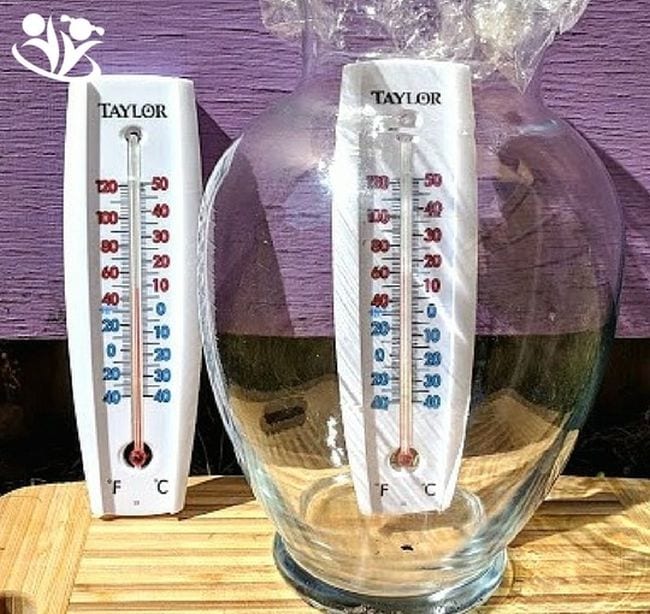Dos termómetros, uno en un frasco de vidrio tapado. El termómetro de jarra mostró 20 grados más.  (Actividades de Cambio Climático)