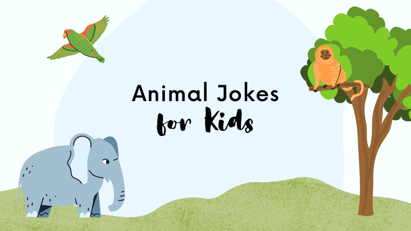 Chistes de animales para niños.