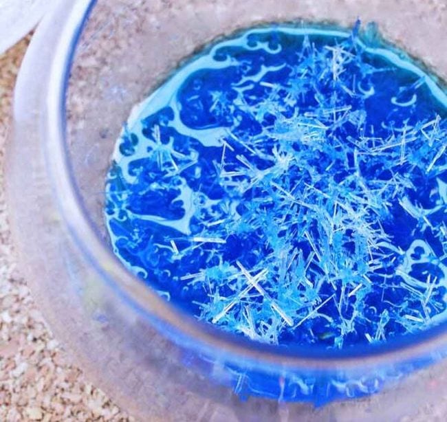 Tazón de vidrio con solución de agua azul cubierta por cristales (experimento científico de primer grado)