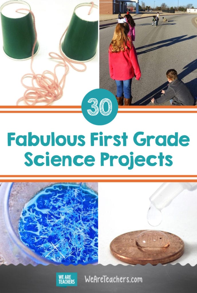 30 asombrosos proyectos de ciencia de primer grado que los estudiantes de primaria adorarán