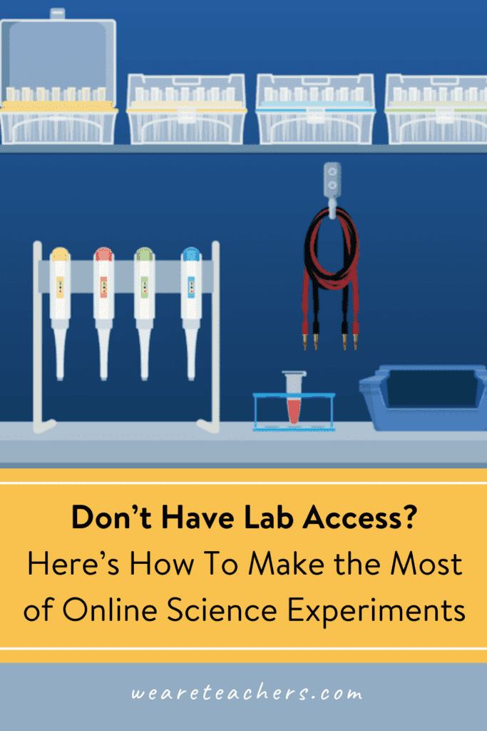 ¿No tienes acceso al laboratorio?Aquí le mostramos cómo aprovechar al máximo sus experimentos científicos en línea