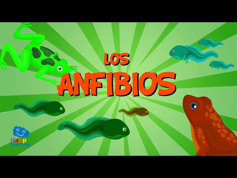 Explorando el fascinante mundo de los anfibios: Todo lo que necesitas saber sobre los anfibios.