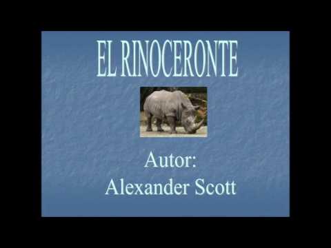 El majestuoso rinoceronte Scott Alexander: una mirada a su fascinante existencia